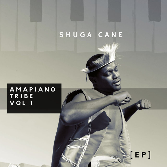 Amapiano Tribe, Vol. 1