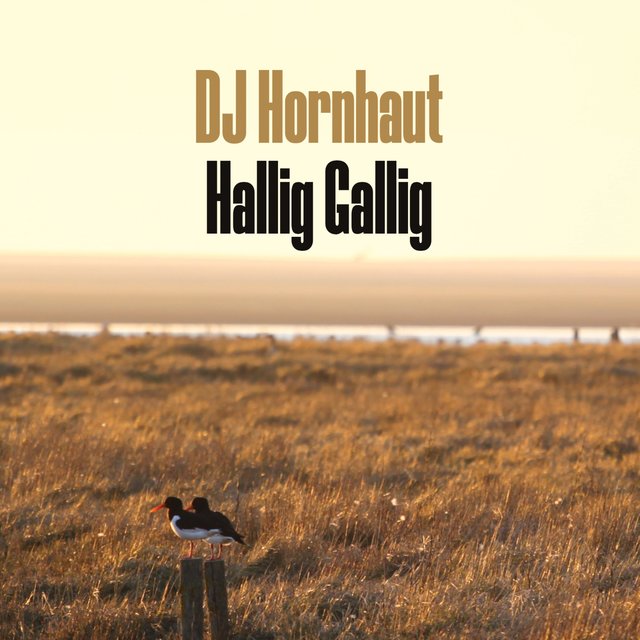 Hallig Gallig