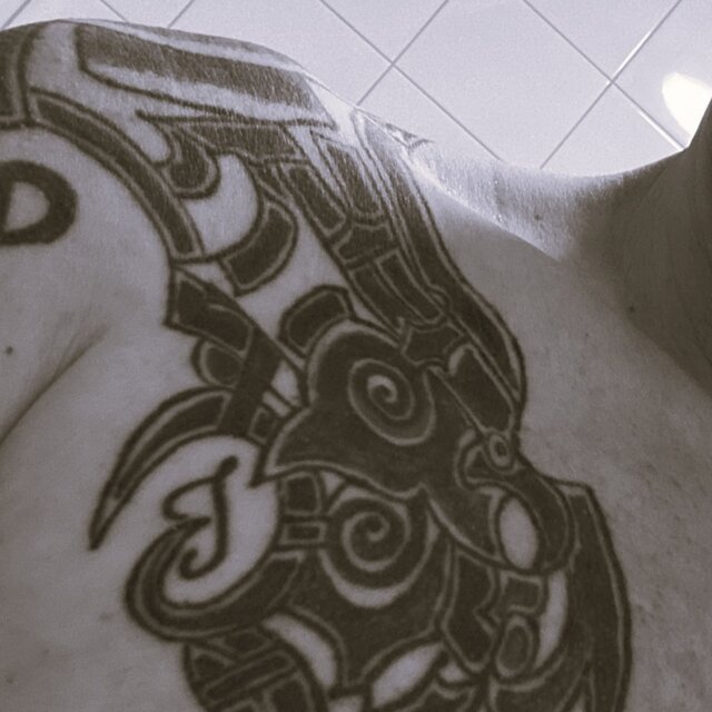 Shoulders