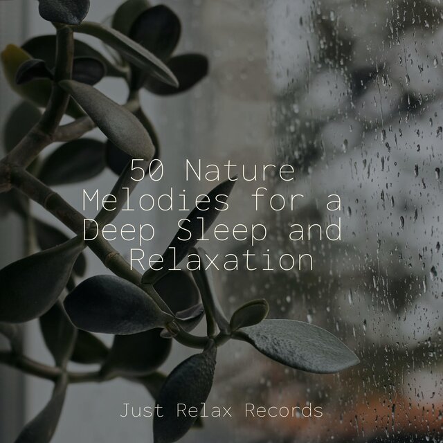 50 Nature Melodies for a Deep Sleep and Relaxation