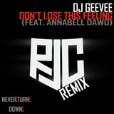 Don't Lose This Feeling (feat. Annabell Dawo) (R:J:C Remix)