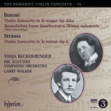 Busoni: Violin Concerto in D Major, BV 243: III. Allegro impetuoso