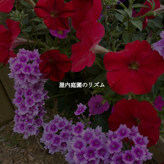 屋内庭園のリズム