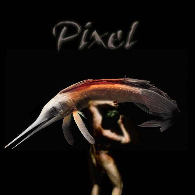 Pixel