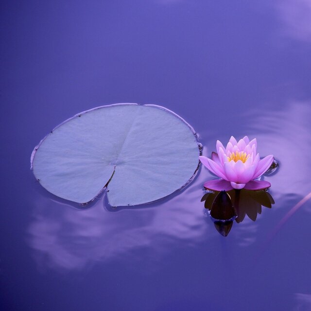 Resting Melody