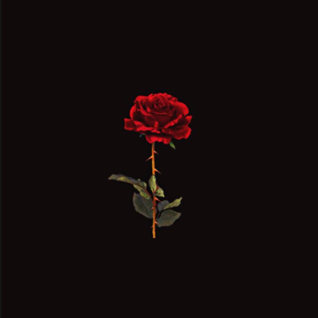 in loving memory