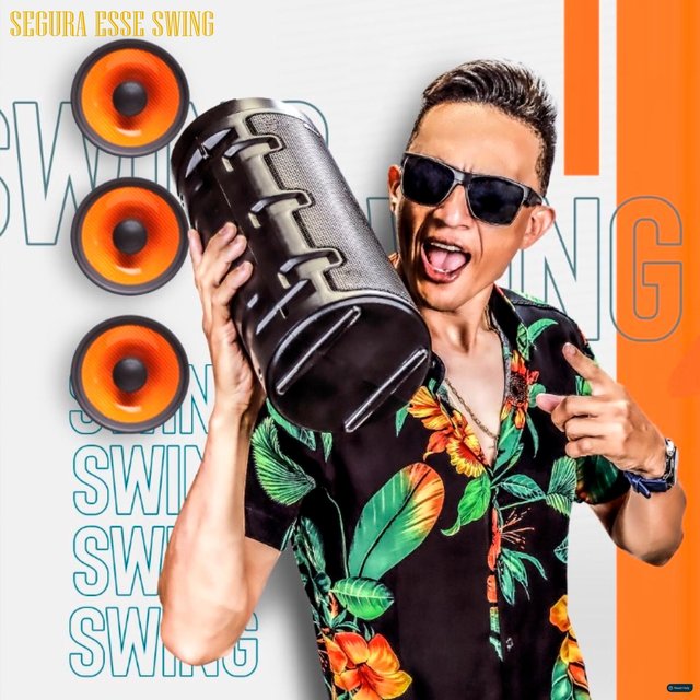 Segura Esse Swing