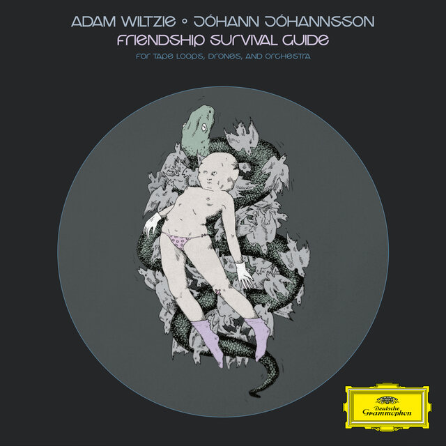 Cover art for album Friendship Survival Guide by Adam Wiltzie, Jóhann Jóhannsson