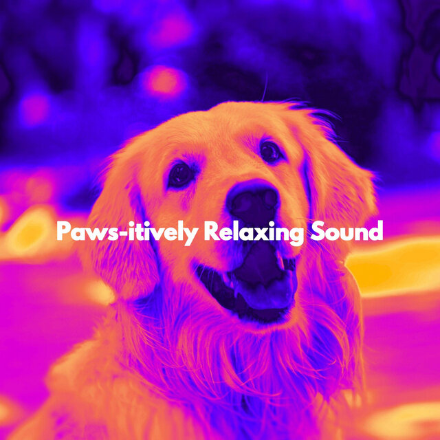 Paws-itively Relaxing Sound