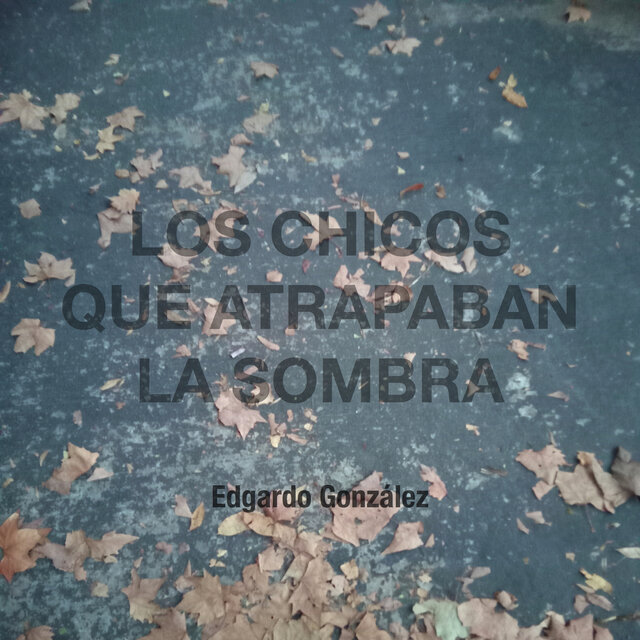 Los chicos que atrapaban la sombra