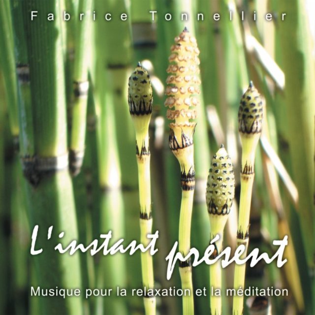 L'instant présent (Musique pour la relaxation et méditation)