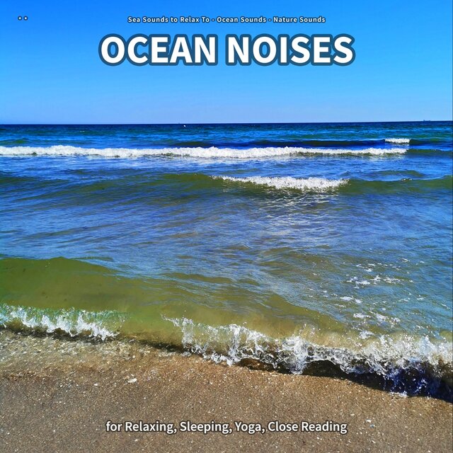 ** Ocean Noises for Relaxing, Sleeping, Yoga, Close Reading