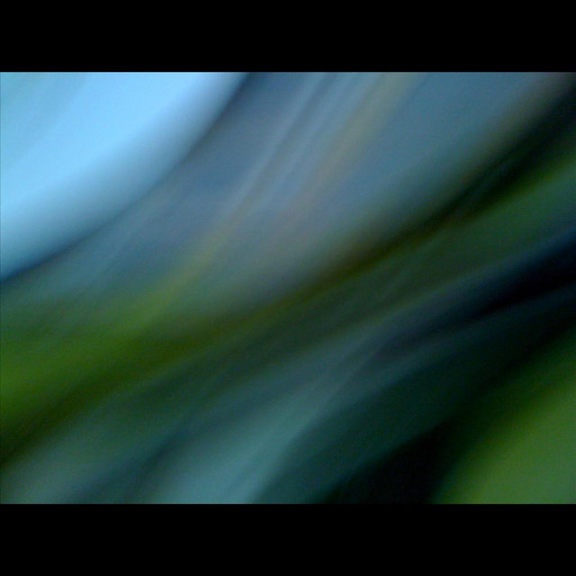 Swimming In Water