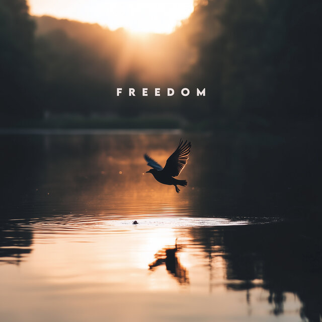 Freedom