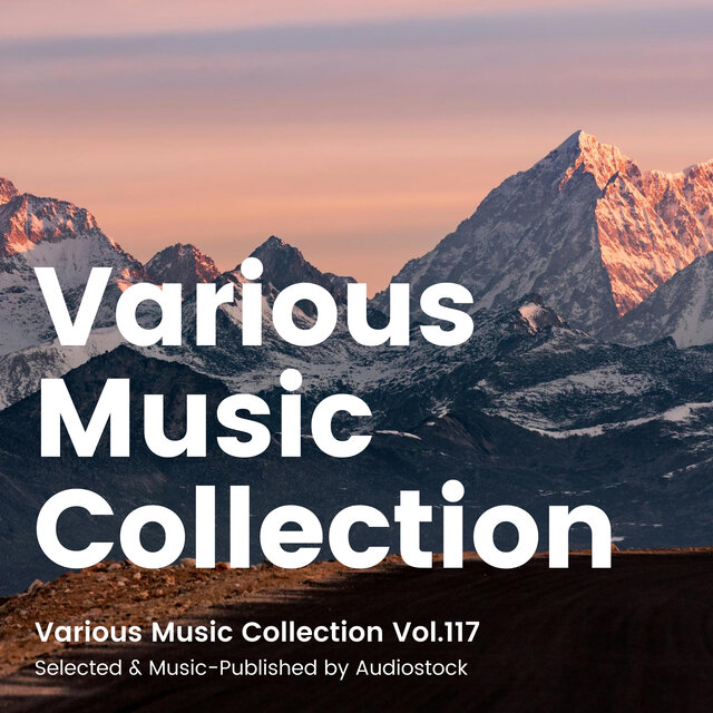 Various Music Collection Vol.117 -Selected & Music-Published by Audiostock-