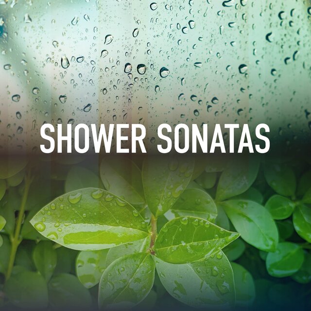 Shower Sonatas