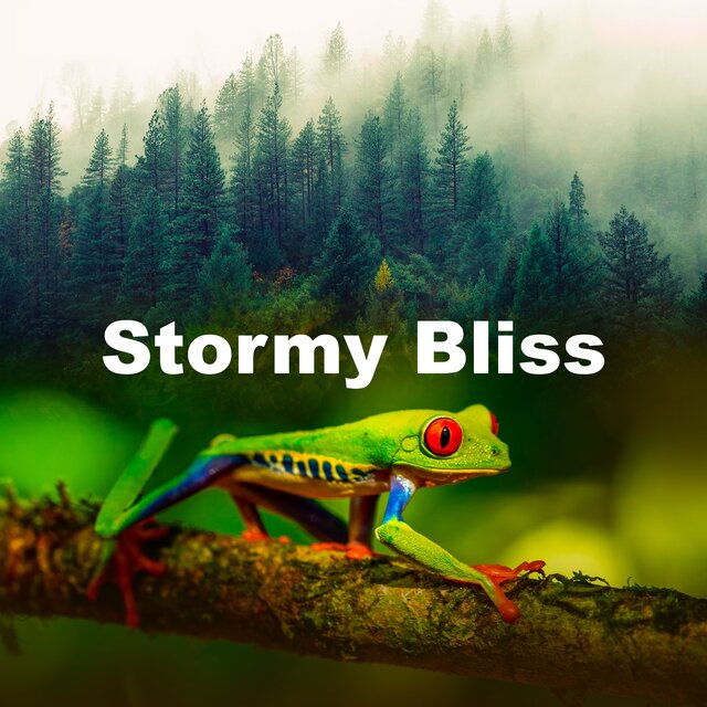 Stormy Bliss