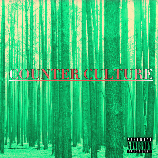 Counter Culture (Radio Edit)