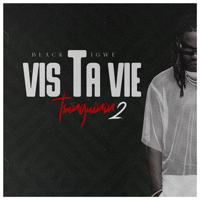 Vis ta vie