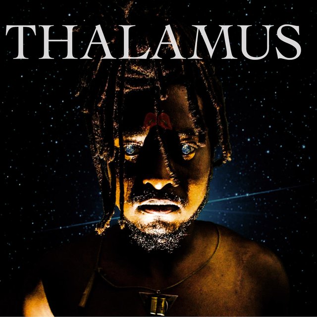 Thalamus