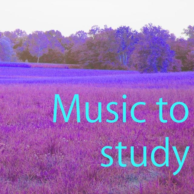 Music to Study Vol. 5