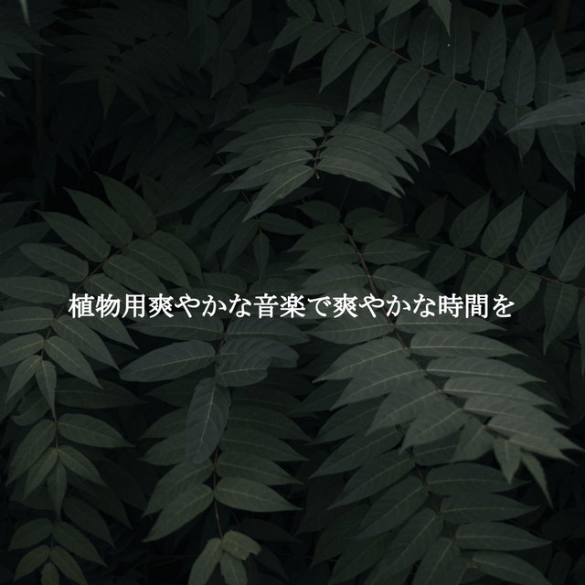 植物用爽やかな音楽で爽やかな時間を
