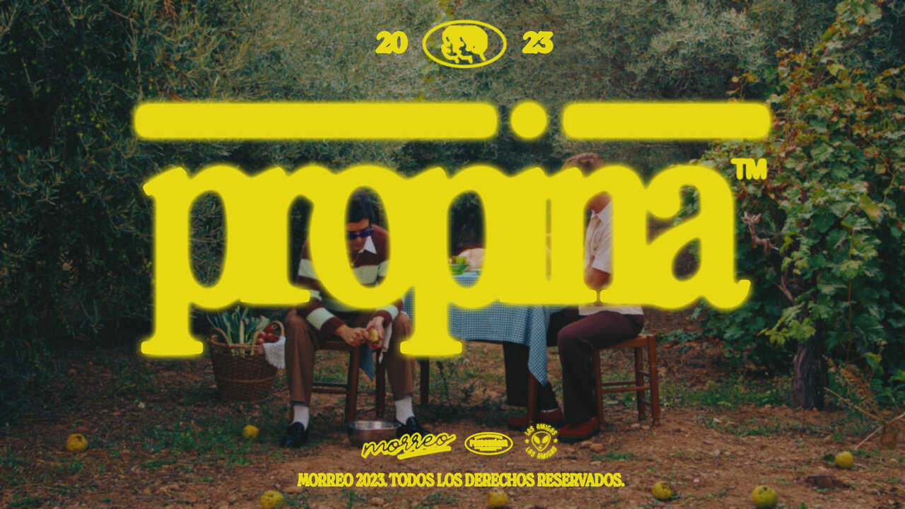 Propina