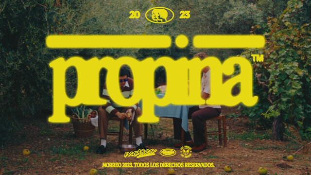 Propina