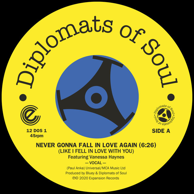 Never Gonna Fall in Love Again (Like I Fell in Love with You) (Digital)