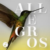 Symphony No. 3 in F Major, Op. 90: III. Poco allegretto