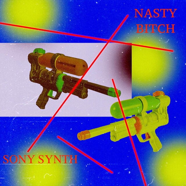 Nasty Bitch
