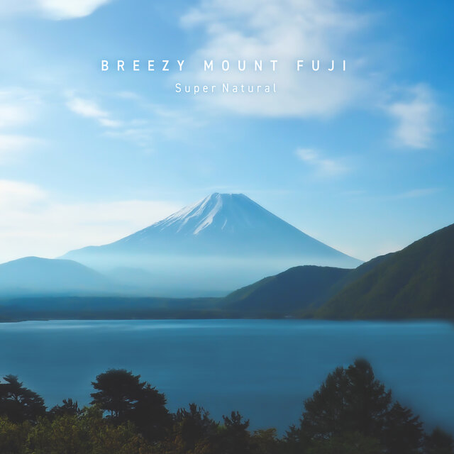 Breezy Mount Fuji