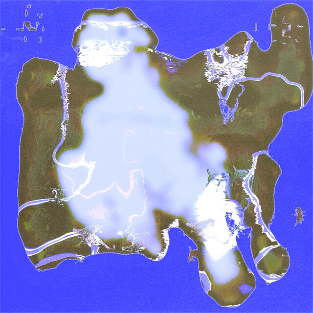 Cover art for album Oxalis by Swapmeet