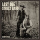 Cover art for album Survived by Lost Dog Street Band