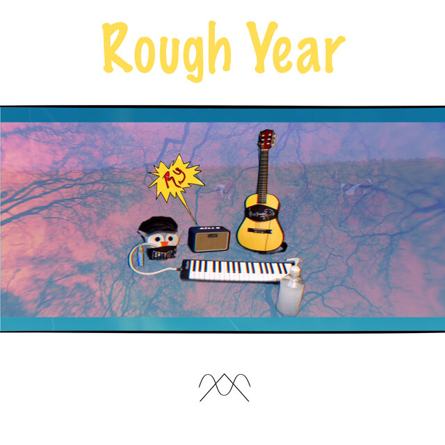 Rough Year