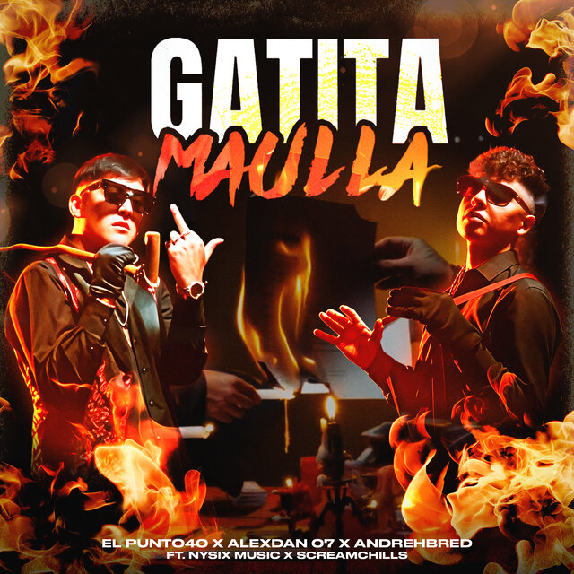 Gatita Maulla