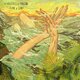 Cover art for album Island of Echoes by The Wilderness of Manitoba