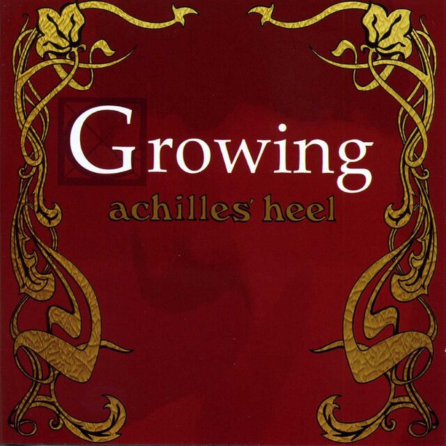 Achilles' Heel