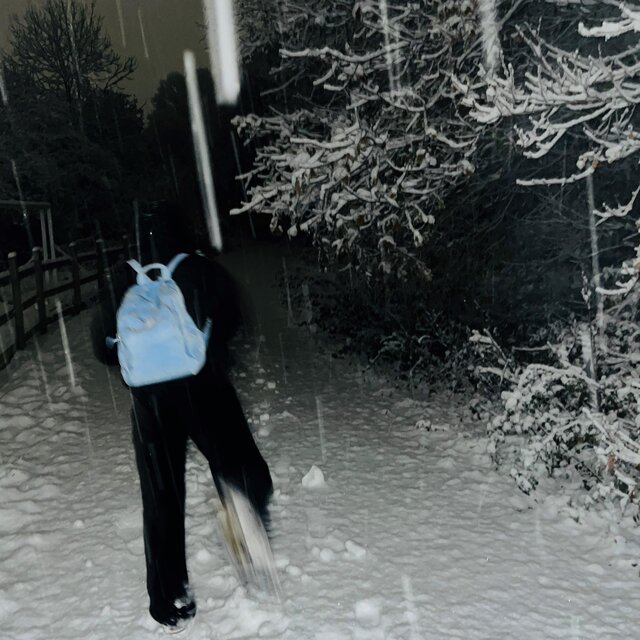 Polar Express (snowfall)