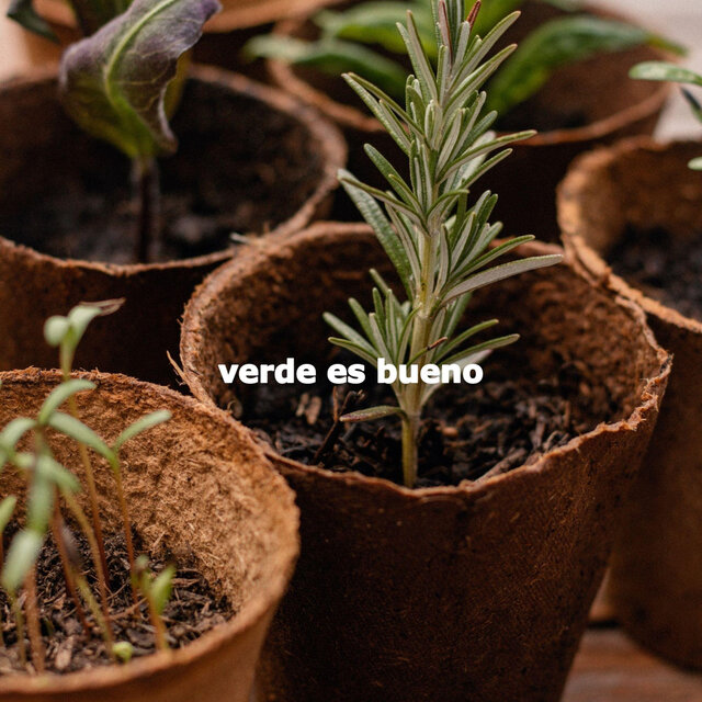 verde es bueno