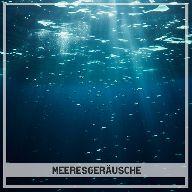 Meeresgeräusche