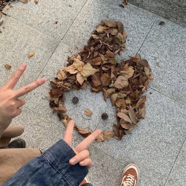 POV
