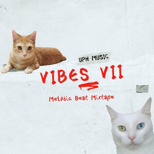 Vibes VII