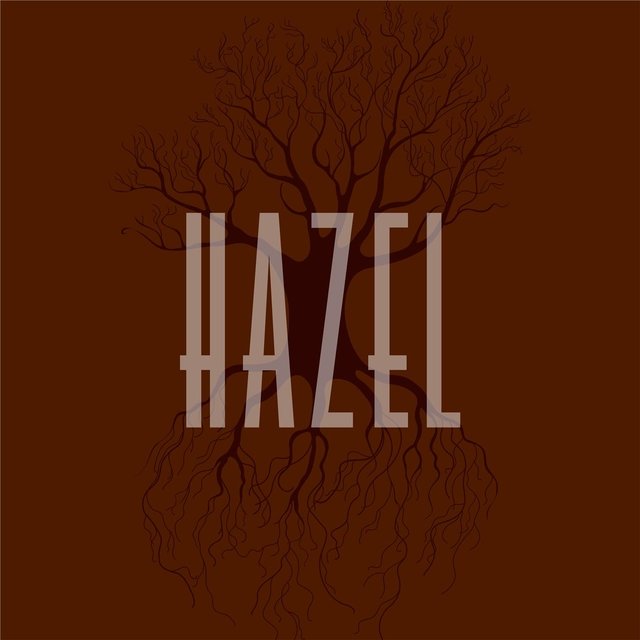 Hazel