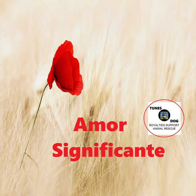 Amor Significante