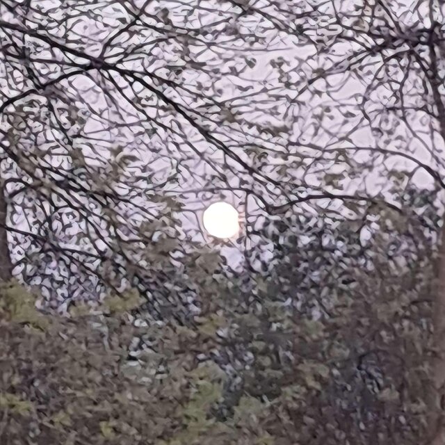 something of sad songs v2