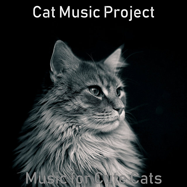 Music for Cute Cats