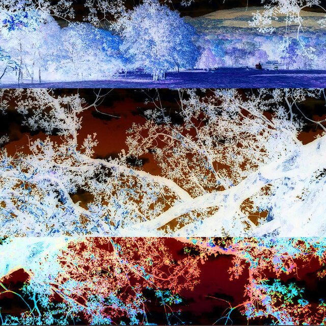 Foreboding Sameness