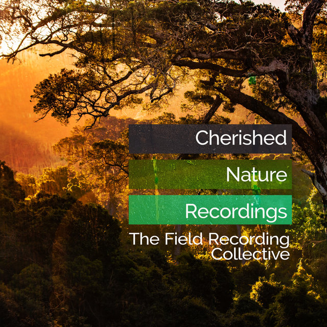 Cherished Nature Recordings
