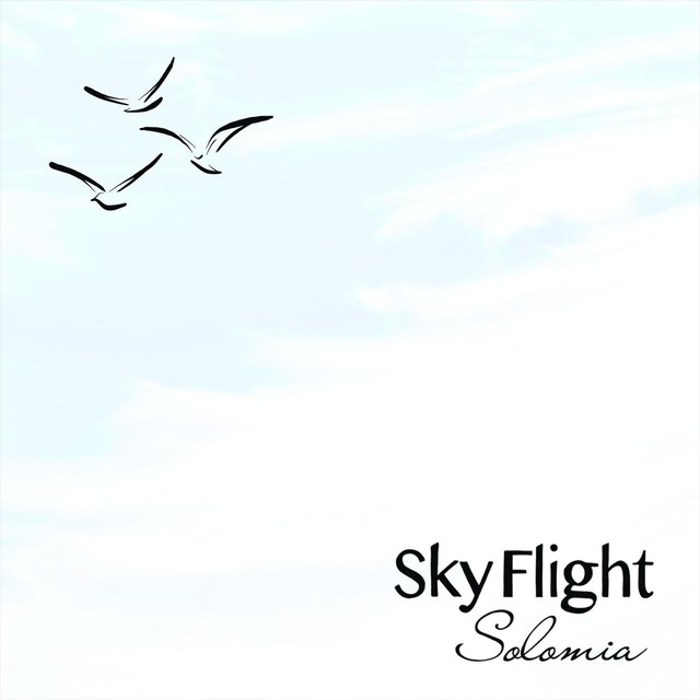 Sky Flight
